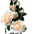 Doniczka-Galazek-Rozy-Kompozycja-Bukiet-W-Doniczce-56-cm-Kwiat-Sztuczny-Marka-2VV.jpg