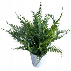 Kwiat Sztuczny Paproć Trawki Paprotka Liści Trawka W Doniczce Kompozycja Ozdoba