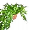 Zwis-Trawki-Paproc-Lisci-Trawka-W-Doniczce-Ozdoba-Pnacze-Kwiat-Sztuczny.jpg