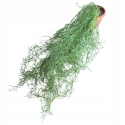 Kwiat Sztuczny Zwis Trawki Bluszcz Liści Trawka W Doniczce Ozdoba Pnącze