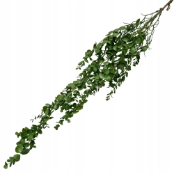 Trawki Bukiet Zielony Trawka Gałązki Zwis Pnącze Premium kwiaty sztuczne