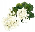 Sztuczna Pelargonia Biała Bukiet Kwiatów Na Balkon