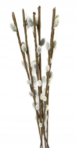 Bazie Bukiet 6 Gałązek Naturalne Wielkanoc Sztuczne Kwiaty